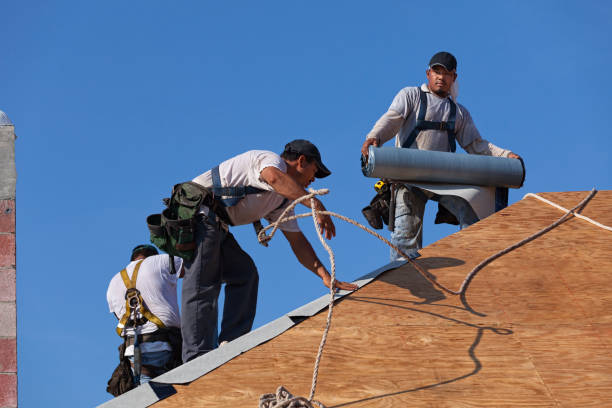 Best Gutter Installation and Roofing  in Wade Hampton, SC