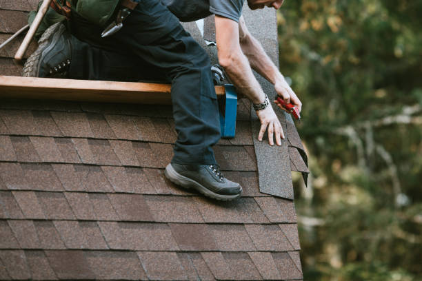 Gutter Installation and Roofing in Wade Hampton, SC